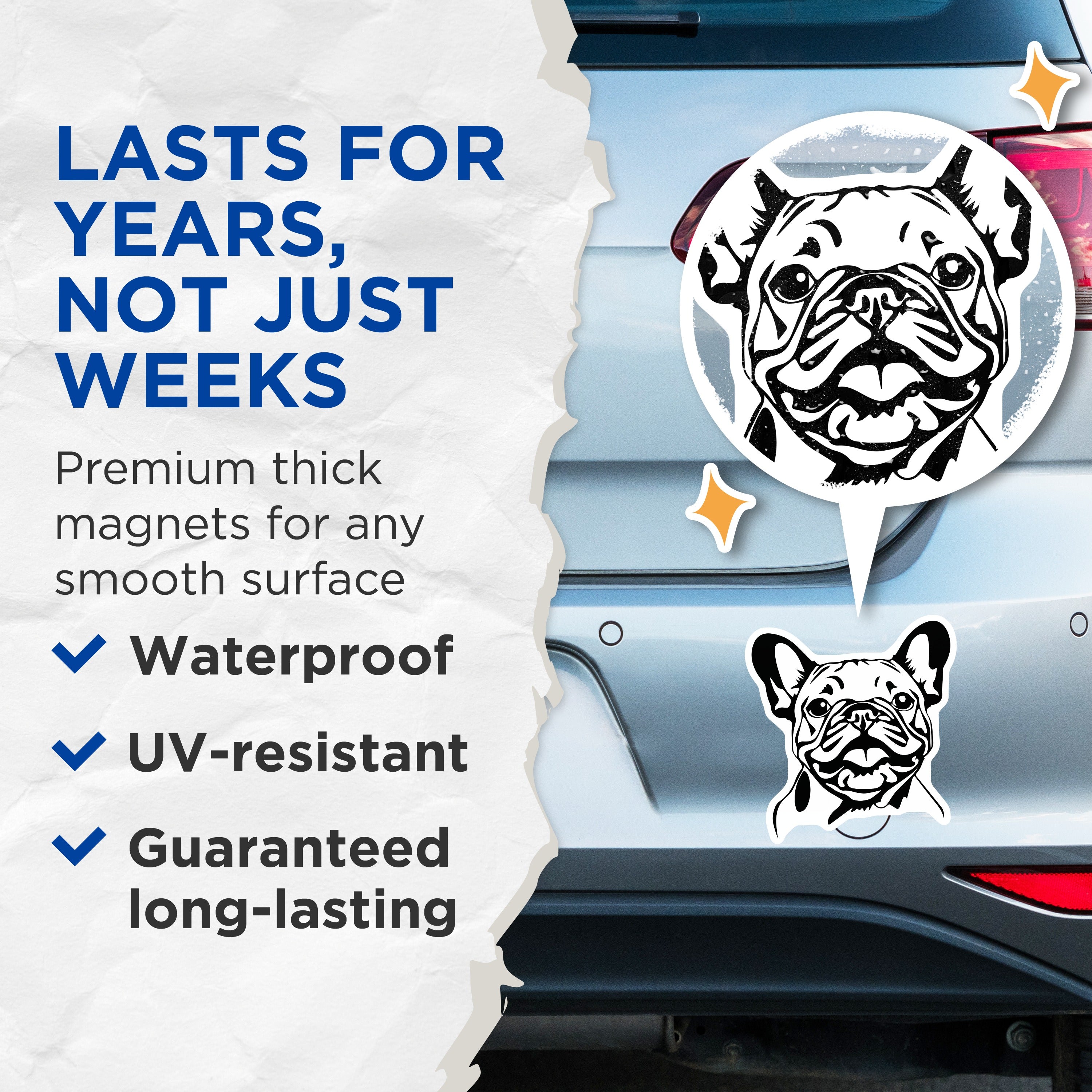 (2 Pack) French Bulldog Magnets - Frenchie Dog Lover Decor - Pet Owner Refrigerator Art for Dog Moms Dads - 5 Inches On Longest Side - Thick Durable Magnet - Made in USA - MAG36565