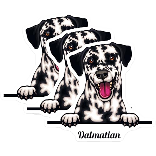(3 Pack) Dalmatian Decals - Dog Breed Stickers - Laptop Accessories - 3 Inches On Longest Side - Easy Peel & Apply - Made in USA - 3MCS2984