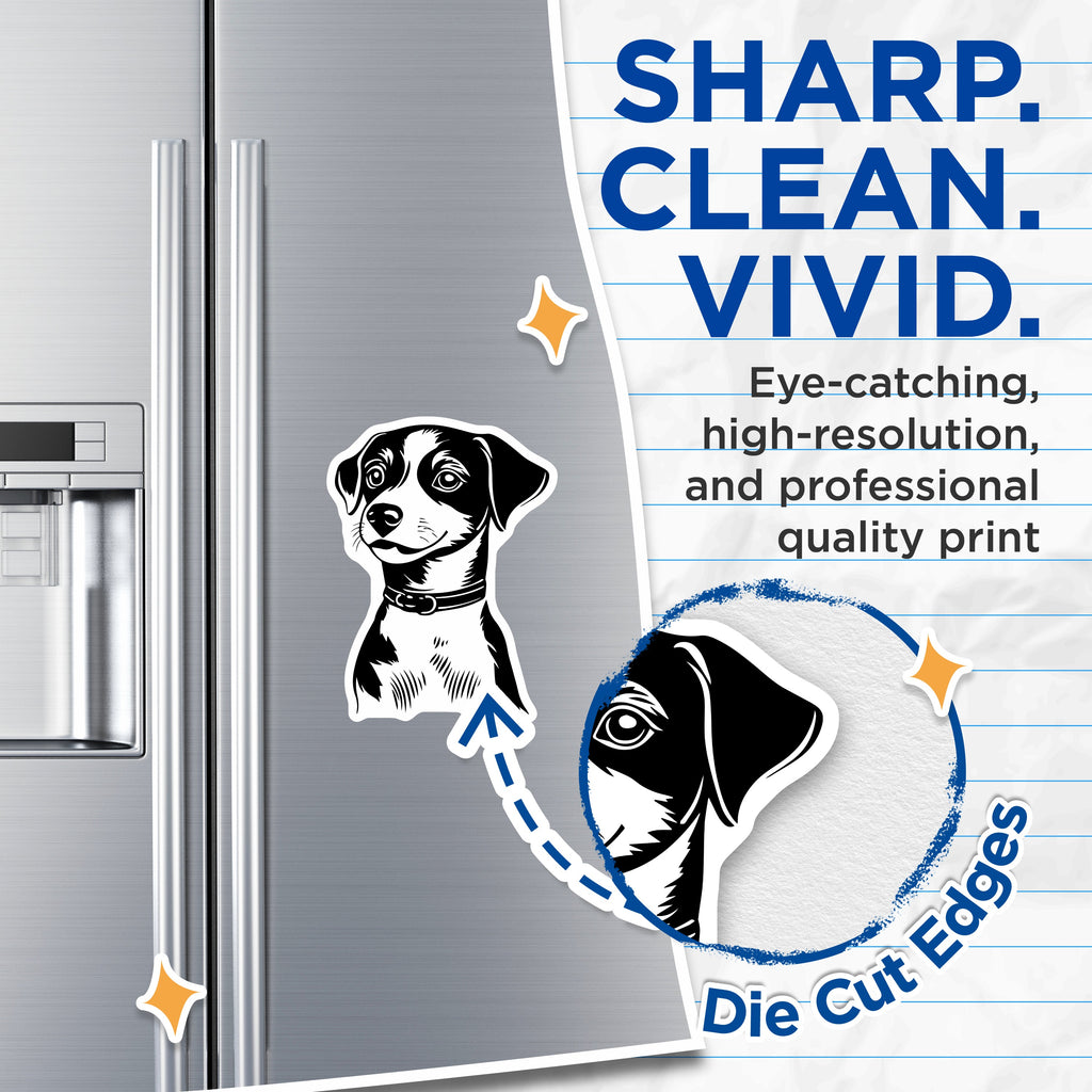 (2 Pack) Beagle Dog Magnets - Minimalist Pet Art - Dog Mom Kitchen Decor - 5 Inches On Longest Side - Thick Durable Magnet - Made in USA - MAG36648