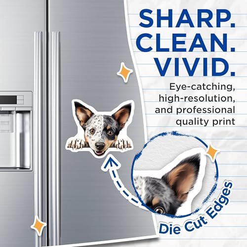 (2 Pack) Pet Lover Decor Magnet - 5" On Longest Side - Sticks to Smooth Flat Surfaces - Made in USA - MAG9839