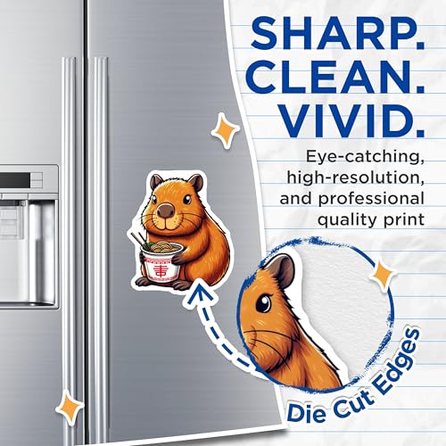(2 Pack) Kitchen Decor Magnet - Office Decor - 5" On Longest Side - Sticks to Smooth Flat Surfaces - Made in USA - MAG9922