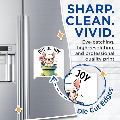 (2 Pack) Pot of Joy Magnets - Cute French Bulldog - Dog Lover's Funny Pot Magnets - 5" On Longest Side - for Cars, Fridges, Toolboxes - Made in USA - MAG3625