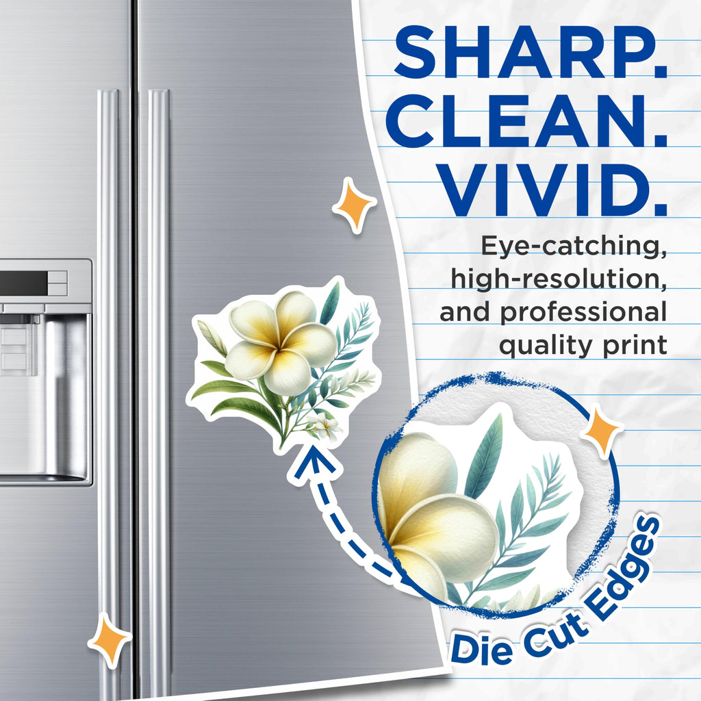 (2 Pack) Plumeria Magnets - Tropical Flower Art - Hawaiian Bloom Decor - Refrigerator Fridge Magnets - 5 Inches On Longest Side - Thick Durable Magnet - Made in USA - MAG20908
