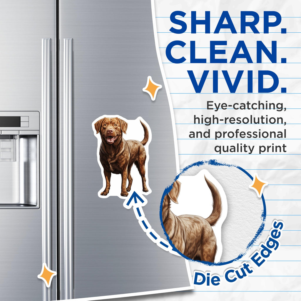 (2 Pack) Chocolate Labrador Retriever Magnets - Happy Brown Lab Dog Art - Canine Pet Lover Refrigerator Decor - Animal Magnet - 5 Inches On Longest Side - Thick Durable Magnet - Made in USA - MAG24130