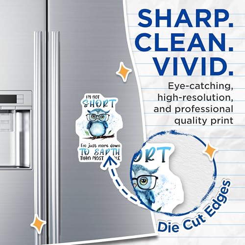 (2 Pack) Cute Owl Magnets - I'm Not Short - I'm Just More Down to Earth - Cute Animal Humor - Decorative Fridge - 5" On Longest Side - for Cars, Fridges, Toolboxes - Made in USA