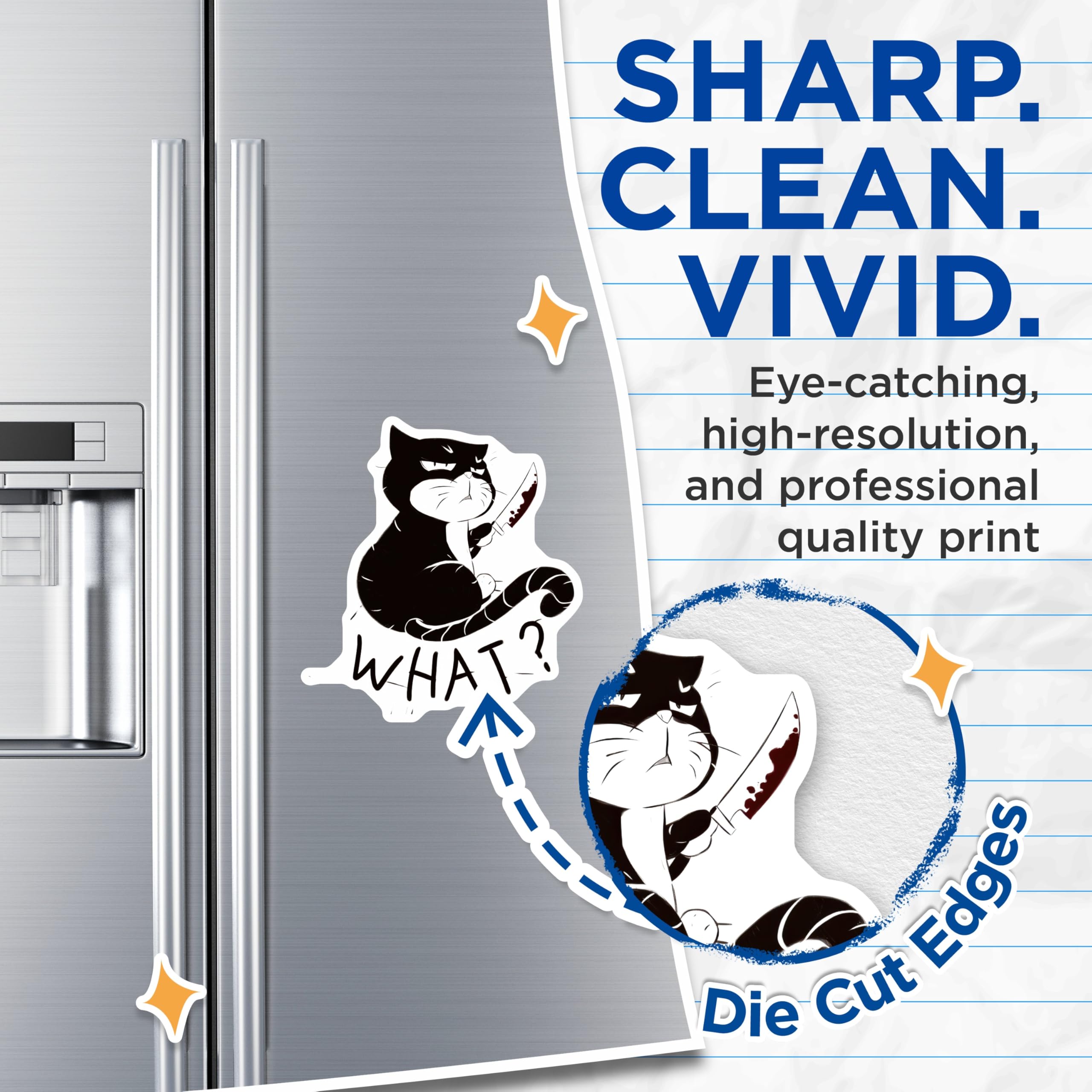 (2 Pack) Evil Cat Magnets - Funny Cat Meme - Sarcastic Cat Decor - 5" On Longest Side - Premium Magnet - for Cars, Refrigerators, Toolboxes, Lockers - Made in USA - MAG14674