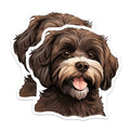 (2 Pack) Fluffy Havanese Dog Magnets - Cute Puppy Pet Owner - Refrigerator Locker Decor - 5 Inches On Longest Side - Thick Durable Magnet - Made in USA - MAG26413