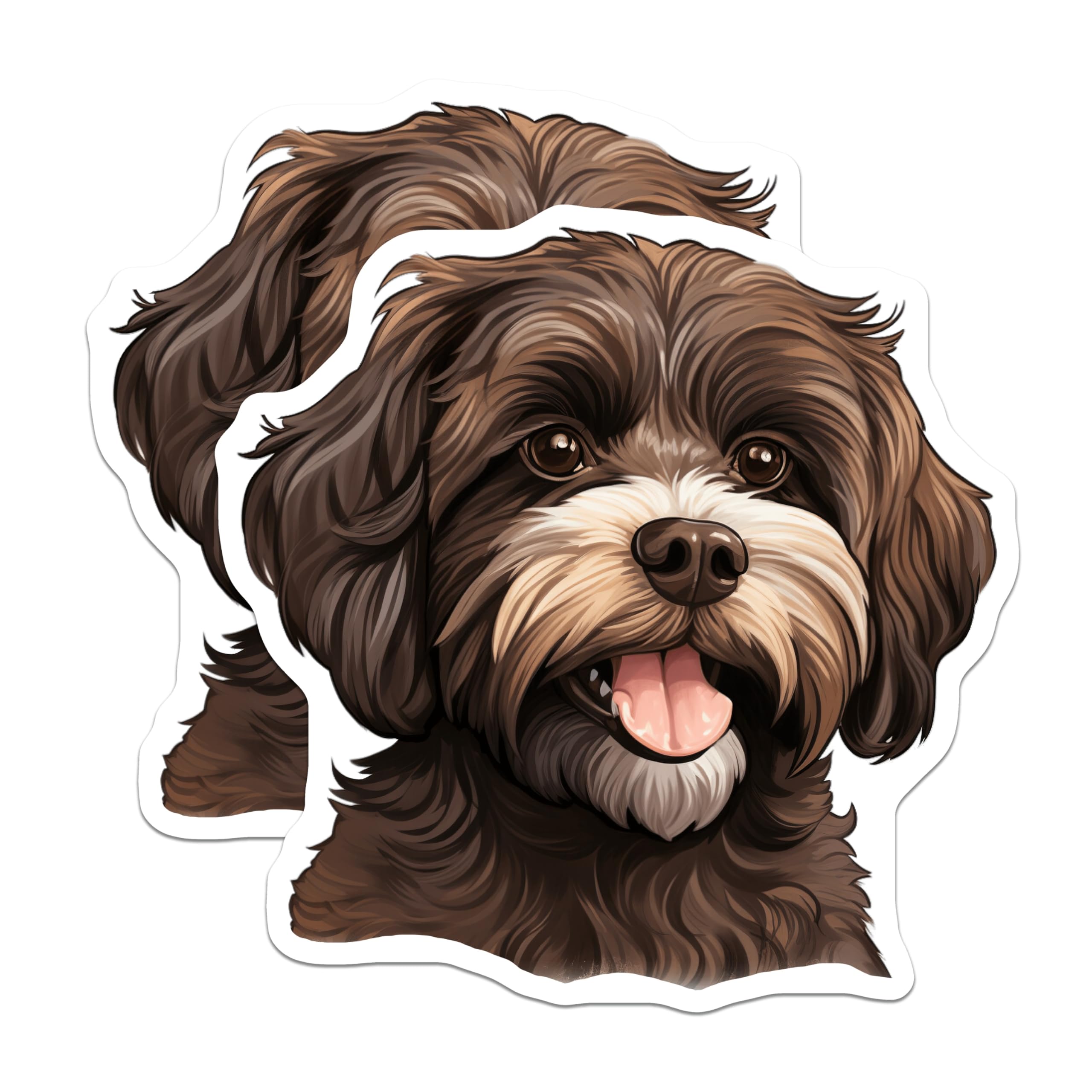 (2 Pack) Fluffy Havanese Dog Magnets - Cute Puppy Pet Owner - Refrigerator Locker Decor - 5 Inches On Longest Side - Thick Durable Magnet - Made in USA - MAG26413