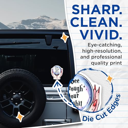 (2 Pack) I See Through Your Bullshit Stickers - Funny Quote Decal - Motivational for Laptop and Water Bottle - 5" On Longest Side - Sticks to Smooth Flat Surfaces - Made in USA - BMCS7512