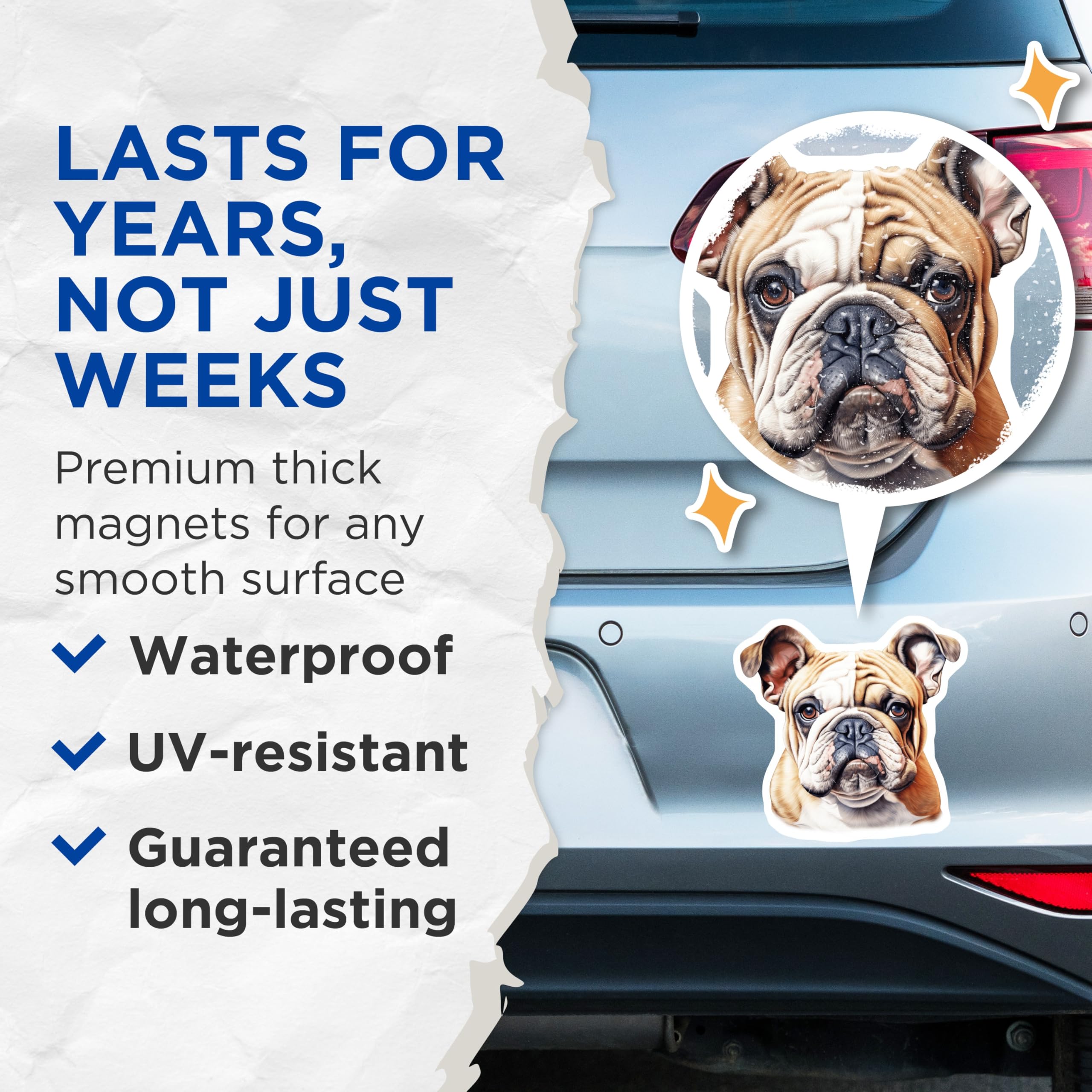 (2 Pack) Bulldog Magnets - English Bulldog Art - Pet Lover Home Decor - 5 Inches On Longest Side - Thick Durable Magnet - Made in USA - MAG24323