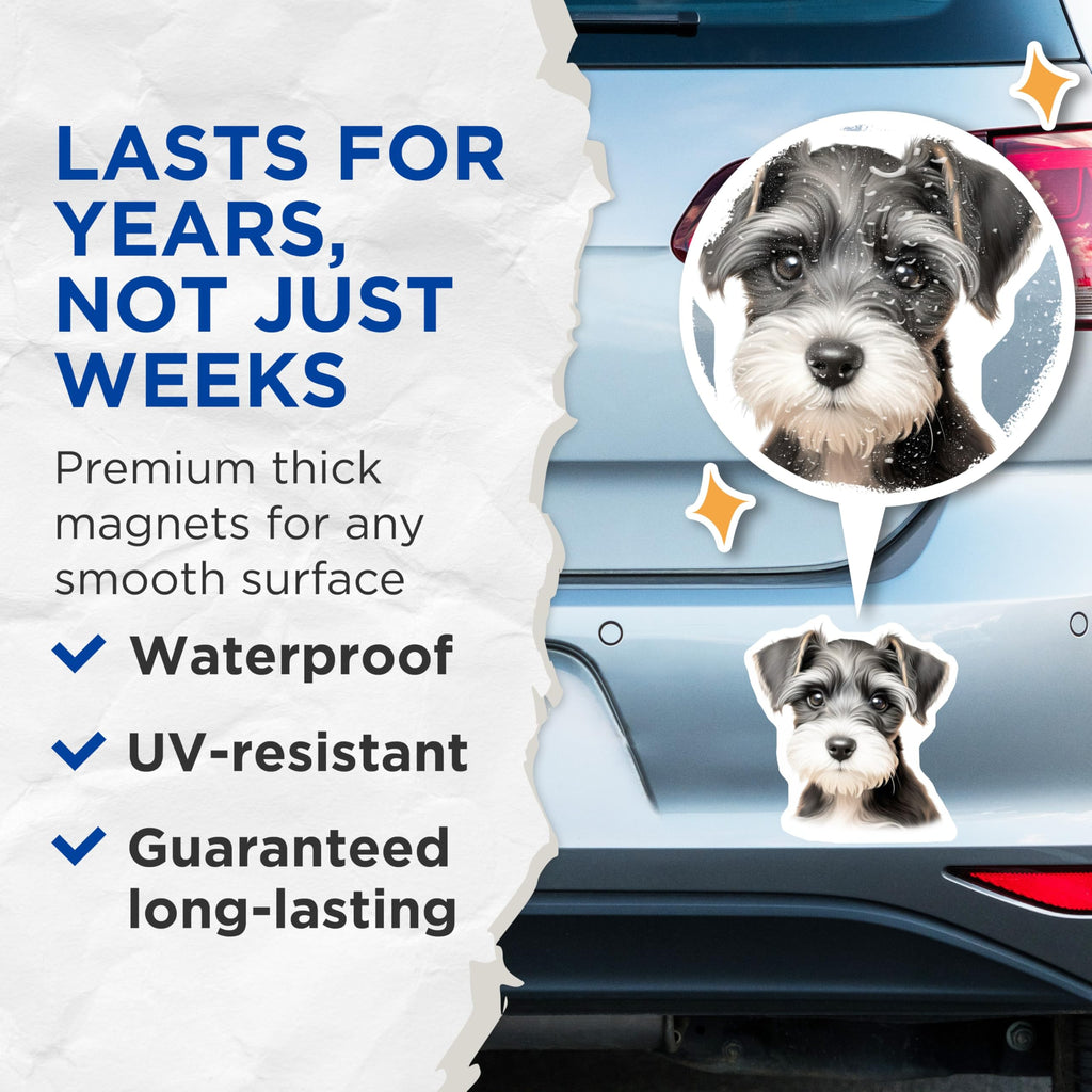 (2 Pack) Miniature Schnauzer Magnets - Cute Puppy Decor - Dog Lover Collectibles - 5 Inches On Longest Side - Thick Durable Magnet - Made in USA - MAG23721