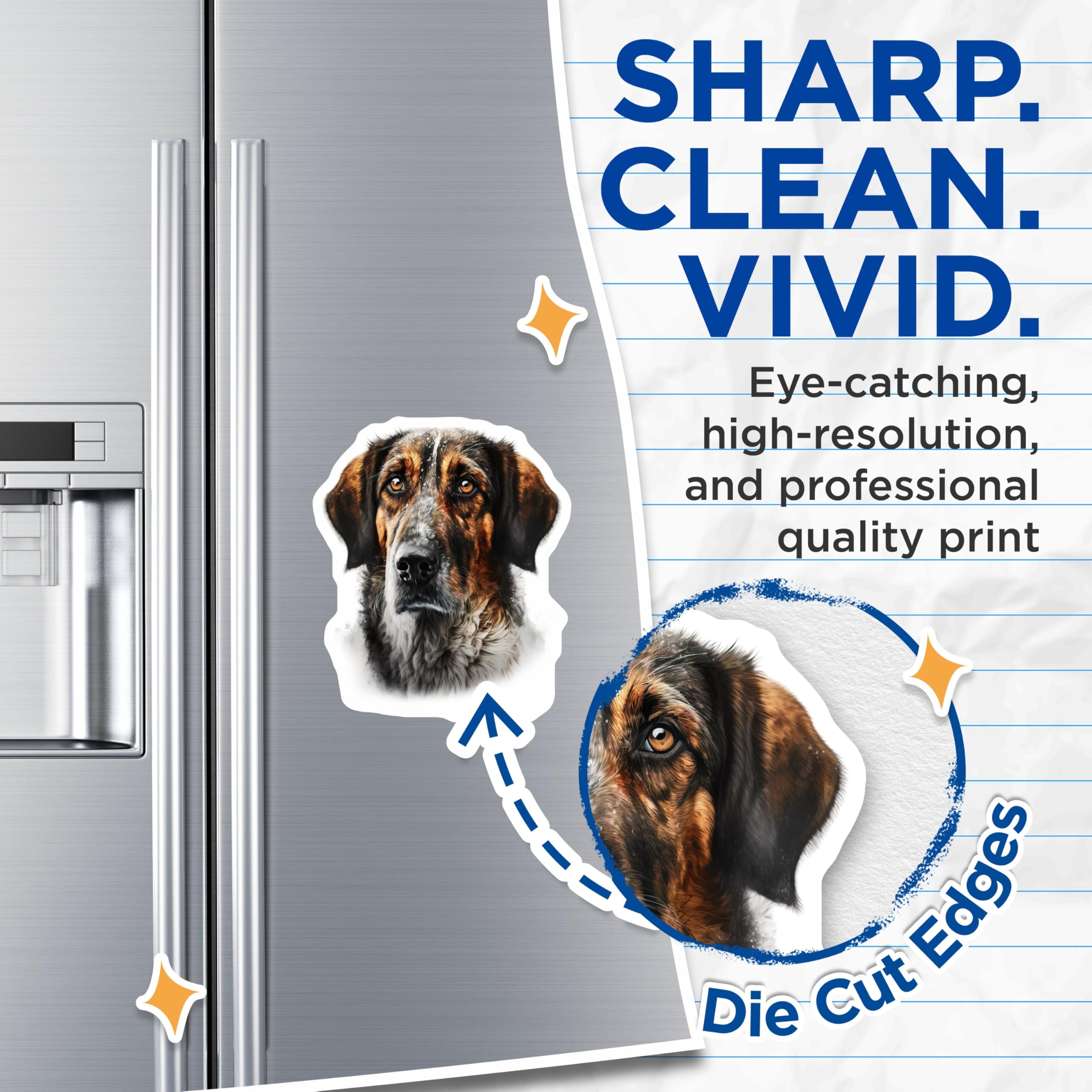 (2 Pack) Brindle Dog Portrait Magnets - Rustic Pet Animal Art - Dog Lover Fridge Decor - 5 Inches On Longest Side - Thick Durable Magnet - Made in USA - MAG26402