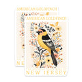 (2 Pack) Goldfinch Bird Magnets - New Jersey State Bird - Bird Lover Fridge Decor - 5" On Longest Side - Premium Magnet - for Cars, Refrigerators, Toolboxes, Lockers - Made in USA - MAG17481