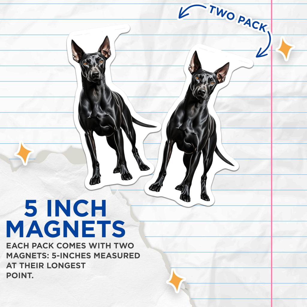 (2 Pack) Black Doberman Dog Magnets - Pet Parent Home Decor - Dog Breed Appreciation - 5 Inches On Longest Side - Thick Durable Magnet - Made in USA - MAG29140