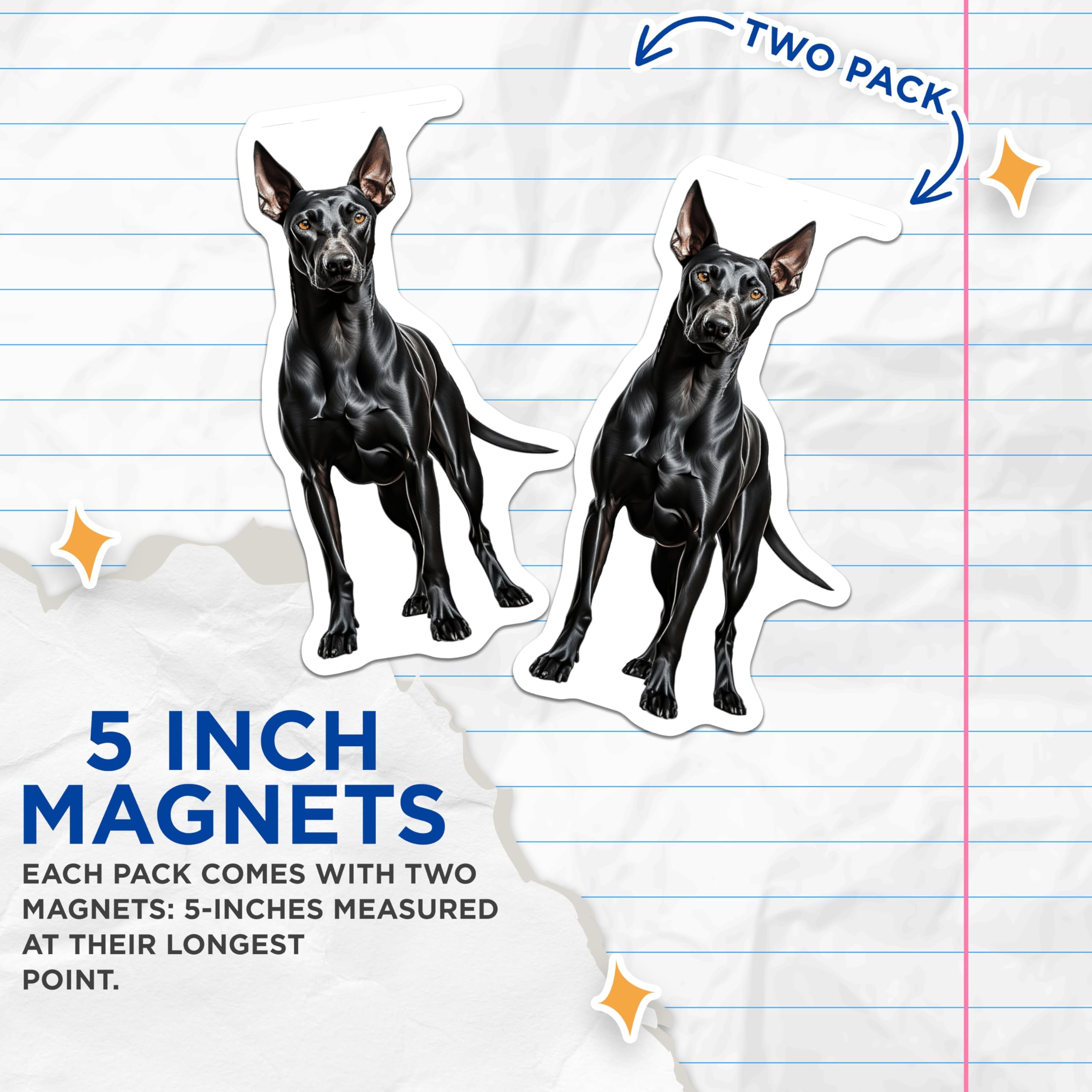 (2 Pack) Black Doberman Dog Magnets - Pet Parent Home Decor - Dog Breed Appreciation - 5 Inches On Longest Side - Thick Durable Magnet - Made in USA - MAG29140