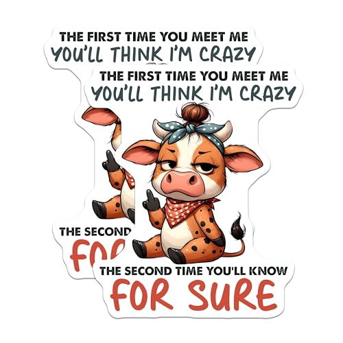 (2 Pack) Cute Cow Magnets - Funny Sayings - Quirky Animal - Humor Refrigerator Magnets - 5" On Longest Side - for Cars, Fridges, Toolboxes - Made in USA - MAG3777