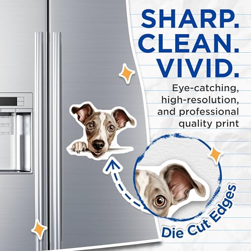 (2 Pack) Dog Lover Refrigerator Decor Magnet - 5" On Longest Side - Sticks to Smooth Flat Surfaces - Made in USA - MAG10204
