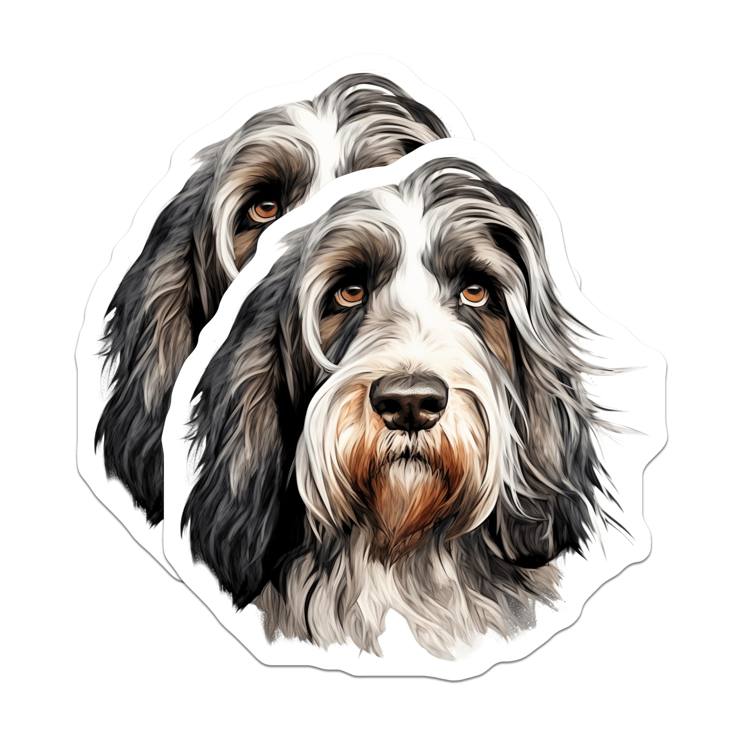 (2 Pack) Shaggy Dog Magnets - Dog Lover Pet Art - Animal Portrait Fridge Decor for Dog Owners - 5 Inches On Longest Side - Thick Durable Magnet - Made in USA - MAG29701