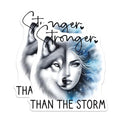 (2 Pack) Stronger Than The Storm Stickers - 5" On Longest Side - Sticks to Smooth Flat Surfaces - Made in USA - BMCS9234 - BMCS9234