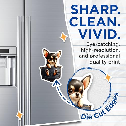 (2 Pack) Cute Chihuahua Magnets - Dog Lovers Fridge - Pet Owner Kitchen Magnet Accessories - 5" On Longest Side - for Cars, Fridges, Toolboxes - Made in USA - MAG3959