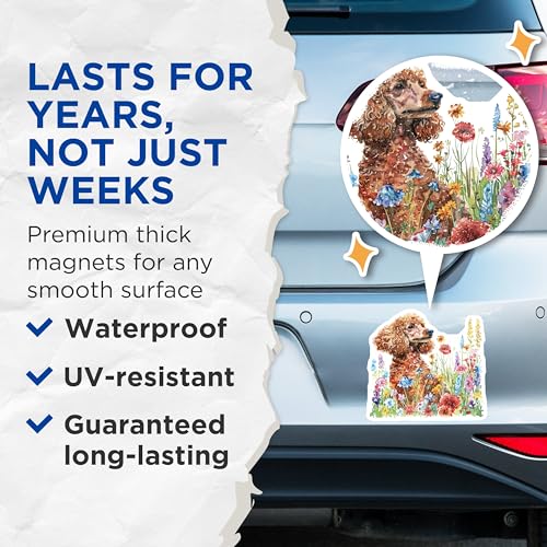 (2 Pack) Dog Poodle Magnets - Floral Dog Art - Cute Animal Magnets - 5" On Longest Side - for Cars, Fridges, Toolboxes - Made in USA - MAG7277