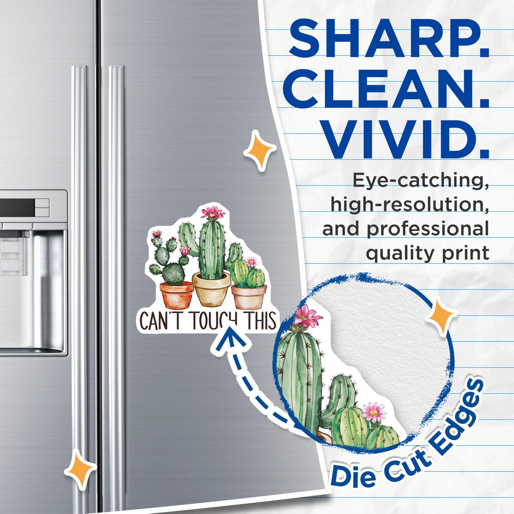 (2 Pack) Cactus Plant Magnets - Cant Touch This - Succulent Lover Decor - 5" On Longest Side - Premium Magnet - for Cars, Refrigerators, Toolboxes, Lockers - Made in USA - MAG17269