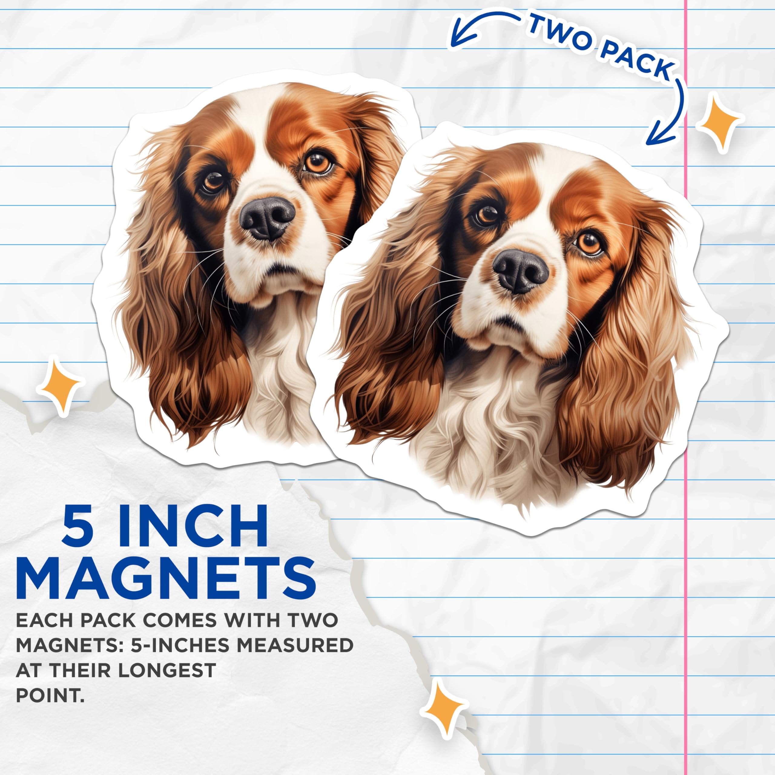 (2 Pack) Cavalier King Charles Magnets - Dog Lover Kitchen Decor - Pet Parent Fridge Art - 5 Inches On Longest Side - Thick Durable Magnet - Made in USA - MAG29258
