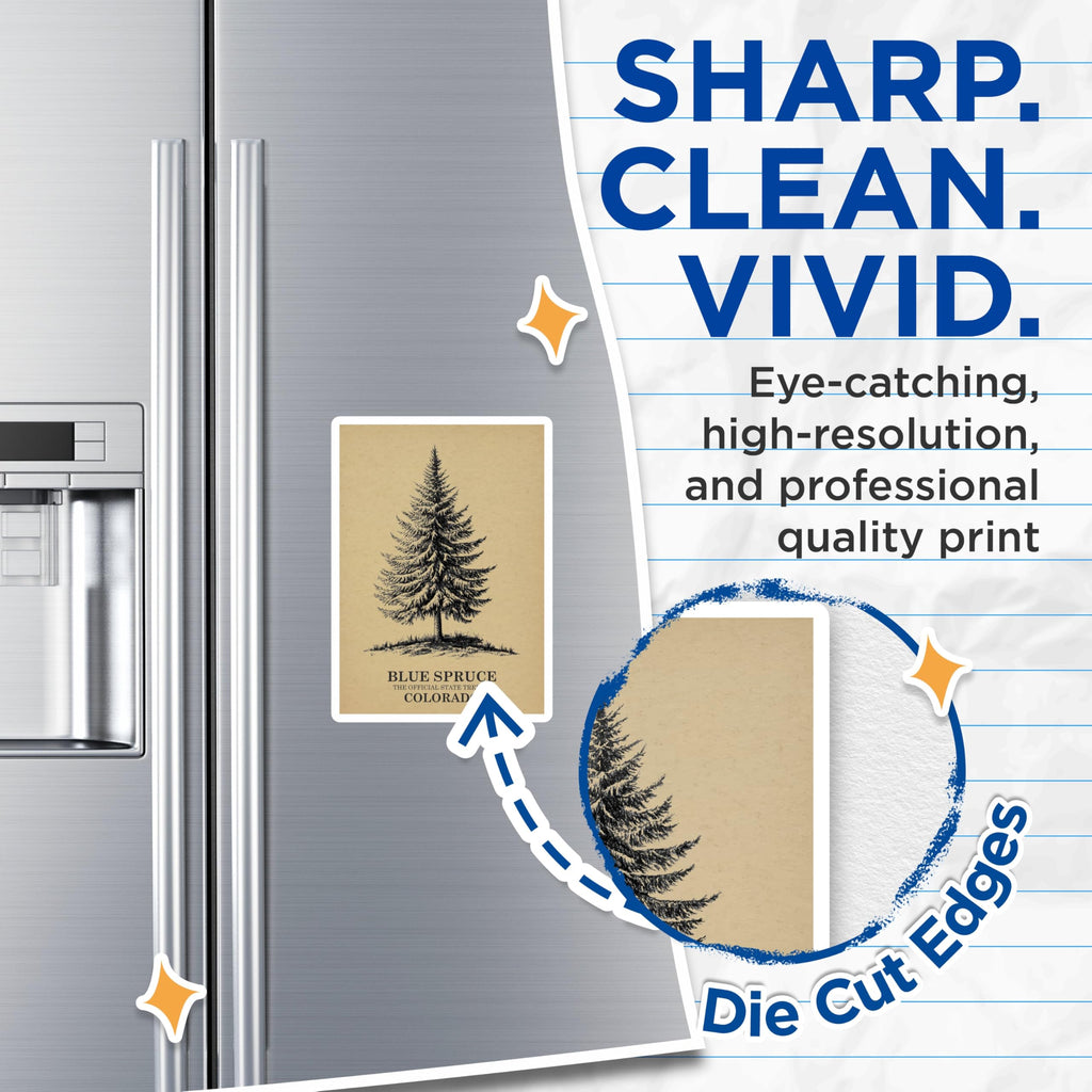 (2 Pack) Blue Spruce Magnets - Colorado Tree - Botanical Fridge Magnets - 5" On Longest Side - Premium Magnet - for Cars, Refrigerators, Toolboxes, Lockers - Made in USA - MAG17295