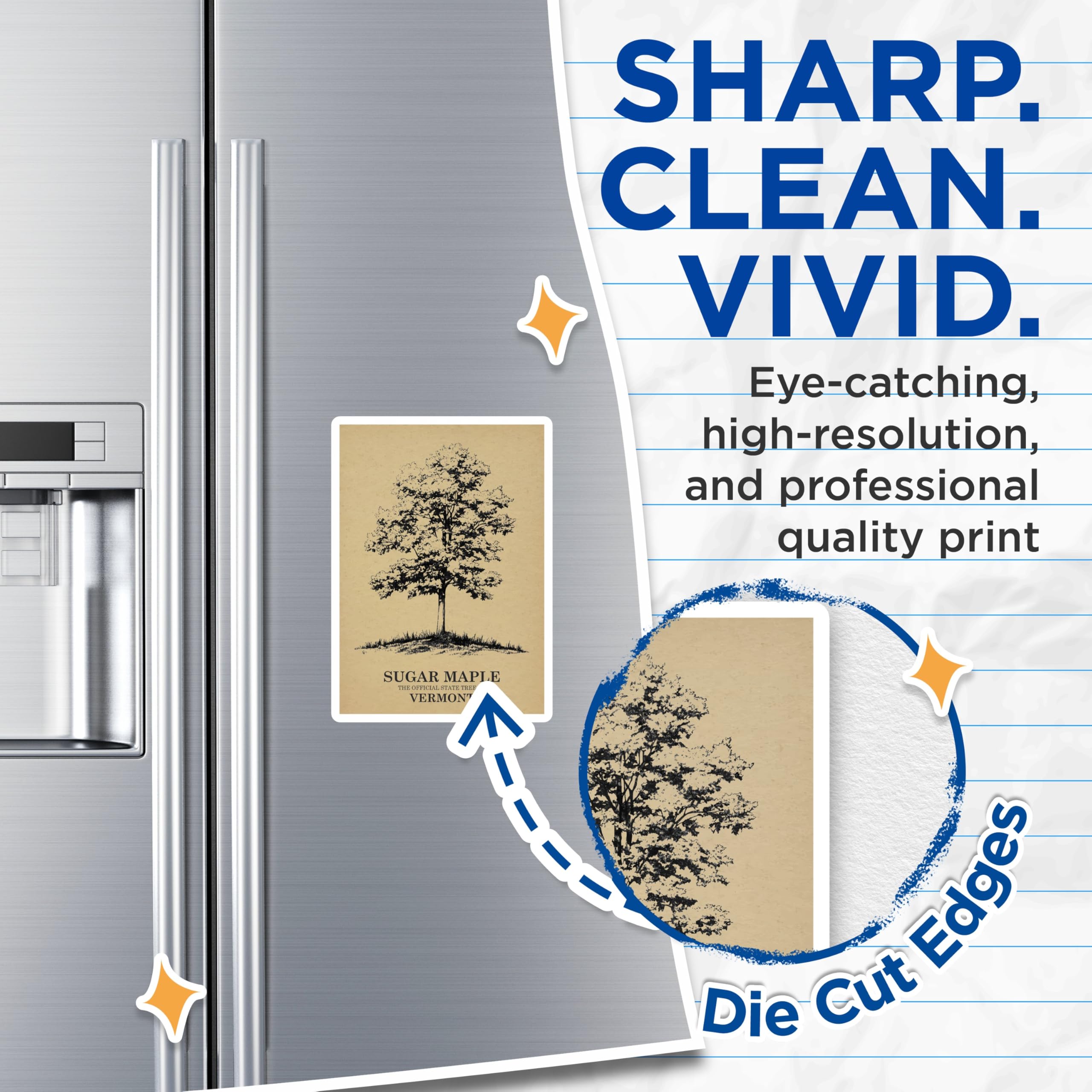 (2 Pack) Sugar Maple Tree Magnets - Vermont State Tree - Nature Artwork - 5" On Longest Side - Premium Magnet - for Cars, Refrigerators, Toolboxes, Lockers - Made in USA - MAG18607