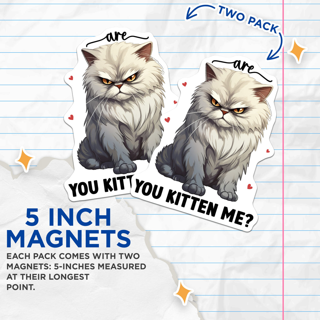 (2 Pack) Grumpy Cat Magnets - Funny Kitten Me Phrase - Sarcastic Cat Refrigerator Decor - Pet Owner Humor - 5 Inches On Longest Side - Thick Durable Magnet - Made in USA - MAG36518