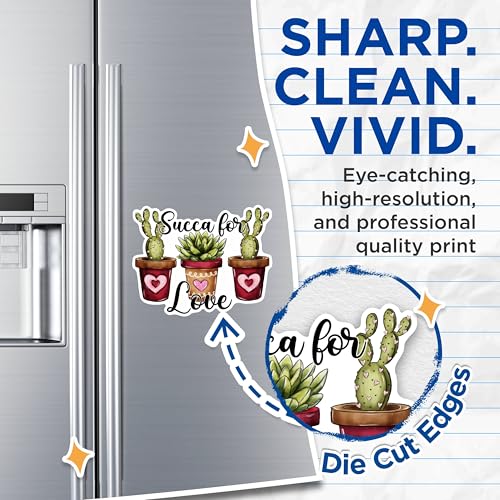 (2 Pack) Succulent Cactus Love Magnets - Cute Plant Magnets for Fridge - Succulent Themed Home Decor Magnets- 5" On Longest Side - for Fridges, Toolboxes, Cars - Made in USA - MAG3041