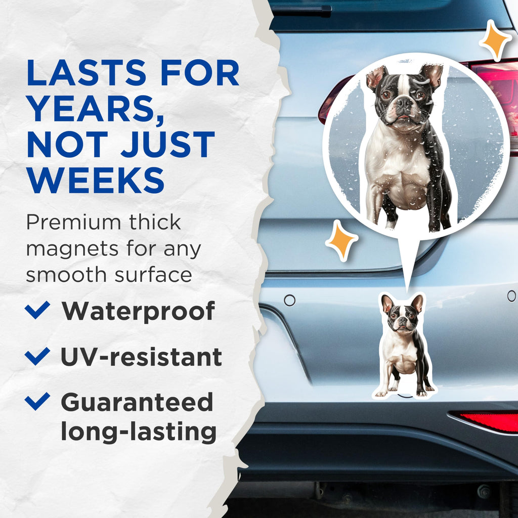 (2 Pack) Boston Terrier Dog Magnets - Cute Pet Owner Decor - Animal Lover Collectible - 5 Inches On Longest Side - Thick Durable Magnet - Made in USA - MAG25195
