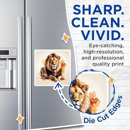 (2 Pack) Lion Magnets Magnets - Animal Wildlife Decor - 5" On Longest Side - Made in USA - Sticks to Refrigerators & Metal Surfaces - MAG8693