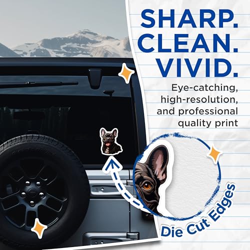 (2 Pack) French Bulldog Laptop Stickers - Cute Dog Stickers - Dog Lover Stickers for Water Bottles and Tumblers - 5" On Longest Side - Sticks to Smooth Flat Surfaces - Made in USA - BMCS3931