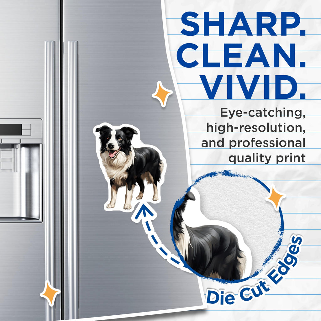 (2 Pack) Border Collie Magnets - Dog Lover Fridge Decor - Pet Owner Accessory - Cute Canine Art for Dog Mom - 5 Inches On Longest Side - Thick Durable Magnet - Made in USA - MAG30778
