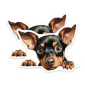 (2 Pack) Pet Lover Home Decor Magnet - 5" On Longest Side - Sticks to Smooth Flat Surfaces - Made in USA - MAG10223