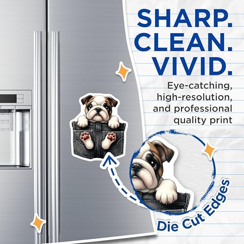 (2 Pack) Bulldog Magnets - Cute Puppy Fridge - Adorable Animal Kitchen Magnets - 5" On Longest Side - for Cars, Fridges, Toolboxes - Made in USA - MAG3954