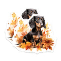 (2 Pack) Long Haired Dachshund Magnets - Fall Wiener Dog Art - Autumn Leaves Decor - Dog Lover Accessory - 5 Inches On Longest Side - Thick Durable Magnet - Made in USA - MAG26761