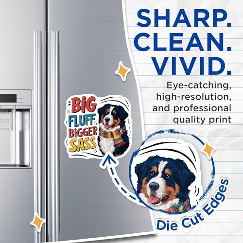 (2 Pack) Big Fluff Bigger Sass Magnets Magnets - 5" On Longest Side - Made in USA - Sticks to Refrigerators & Metal Surfaces - MAG8517