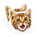 (2 Pack) Surprised Cat Face Magnets - Funny Kitty Lover Decor - Pet Parent Refrigerator Accessory - Cute Animal Art - 5 Inches On Longest Side - Thick Durable Magnet - Made in USA - MAG36053