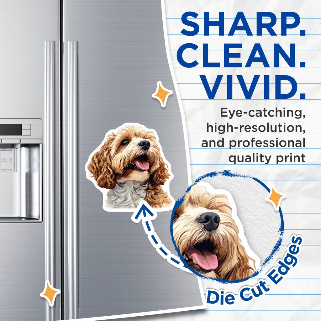 (2 Pack) Cockapoo Magnets - Dog Lover Fridge Decor - Pet Parent Kitchen Magnet - 5 Inches On Longest Side - Thick Durable Magnet - Made in USA - MAG26048