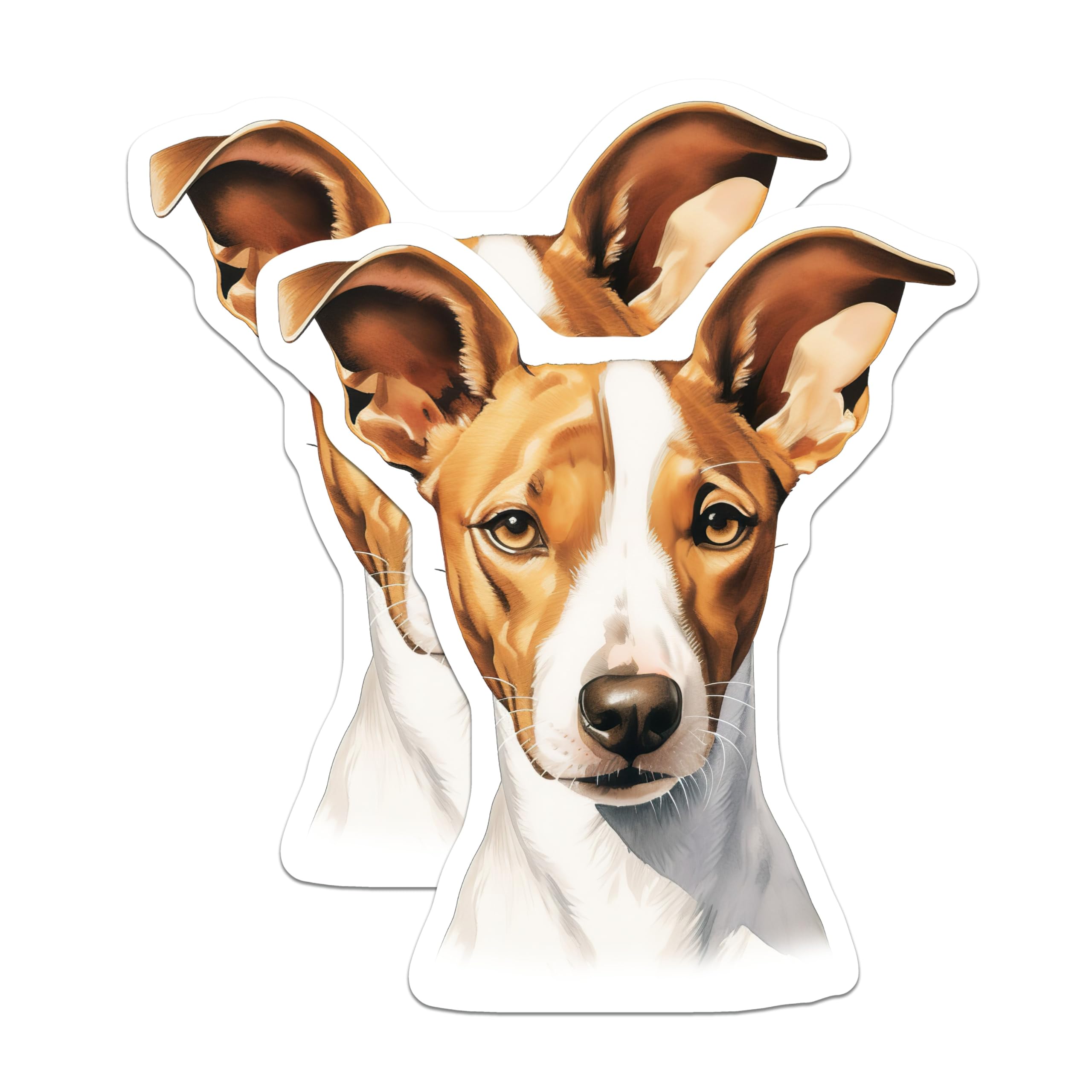 (2 Pack) Jack Russell Terrier Magnets - Realistic Dog Portrait - Pet Owner Dog Mom Lover Refrigerator Decor - 5 Inches On Longest Side - Thick Durable Magnet - Made in USA - MAG29366
