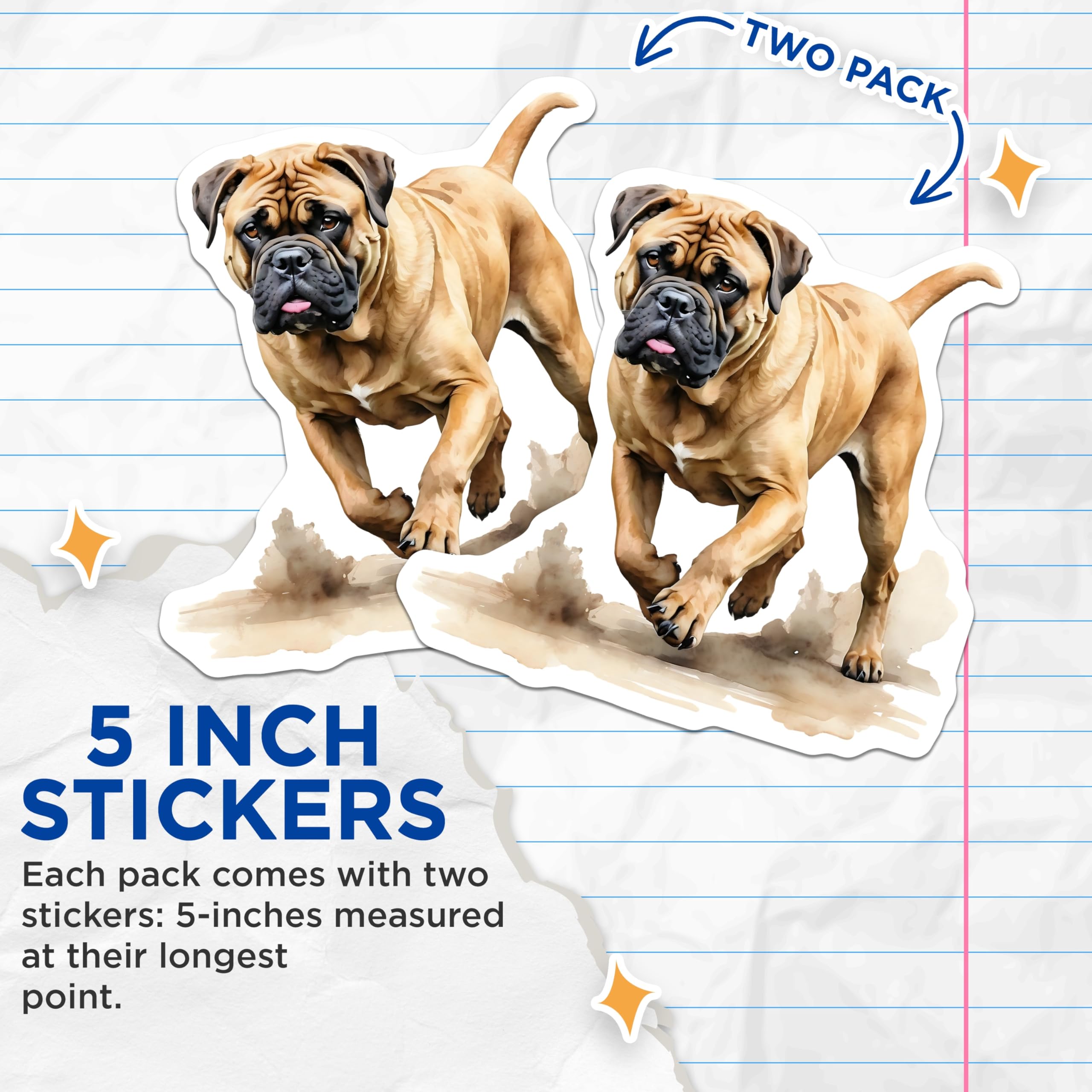 (2 Pack) Bullmastiff Dog Stickers - Cute Puppy Breed - Unique Pet Decals - 5" On Longest Side - Sticks to Smooth Flat Surfaces - Made in USA - BMCS14746