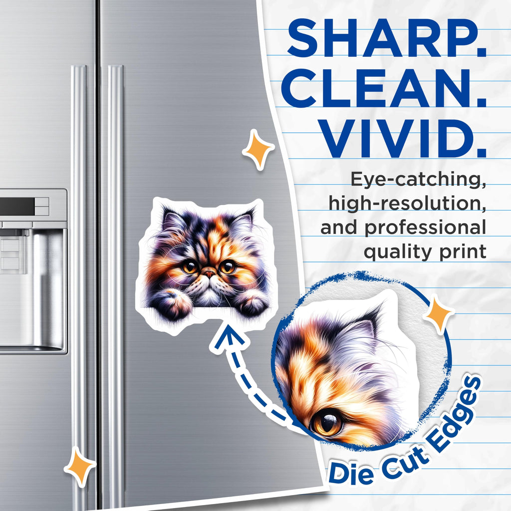 (2 Pack) Persian Cat Magnets - Cute Kitten Decor - Fridge Magnets - 5" On Longest Side - Premium Magnet - for Cars, Refrigerators, Toolboxes, Lockers - Made in USA - MAG15723