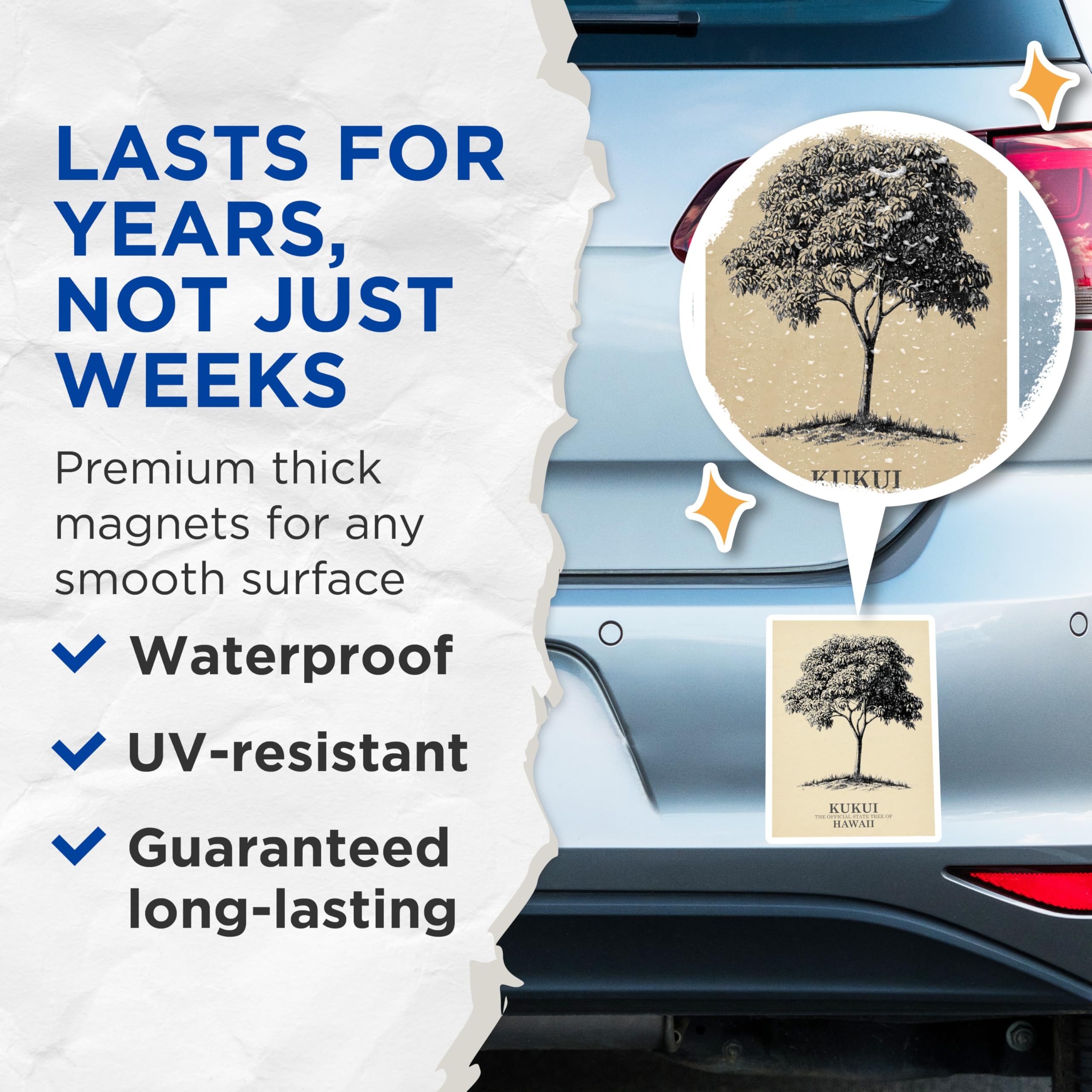 (2 Pack) Kukui Tree Magnets - Hawaiian State Tree - Nature Botanical Refrigerator Magnets - 5" On Longest Side - Premium Magnet - for Cars, Refrigerators, Toolboxes, Lockers - Made in USA - MAG18089