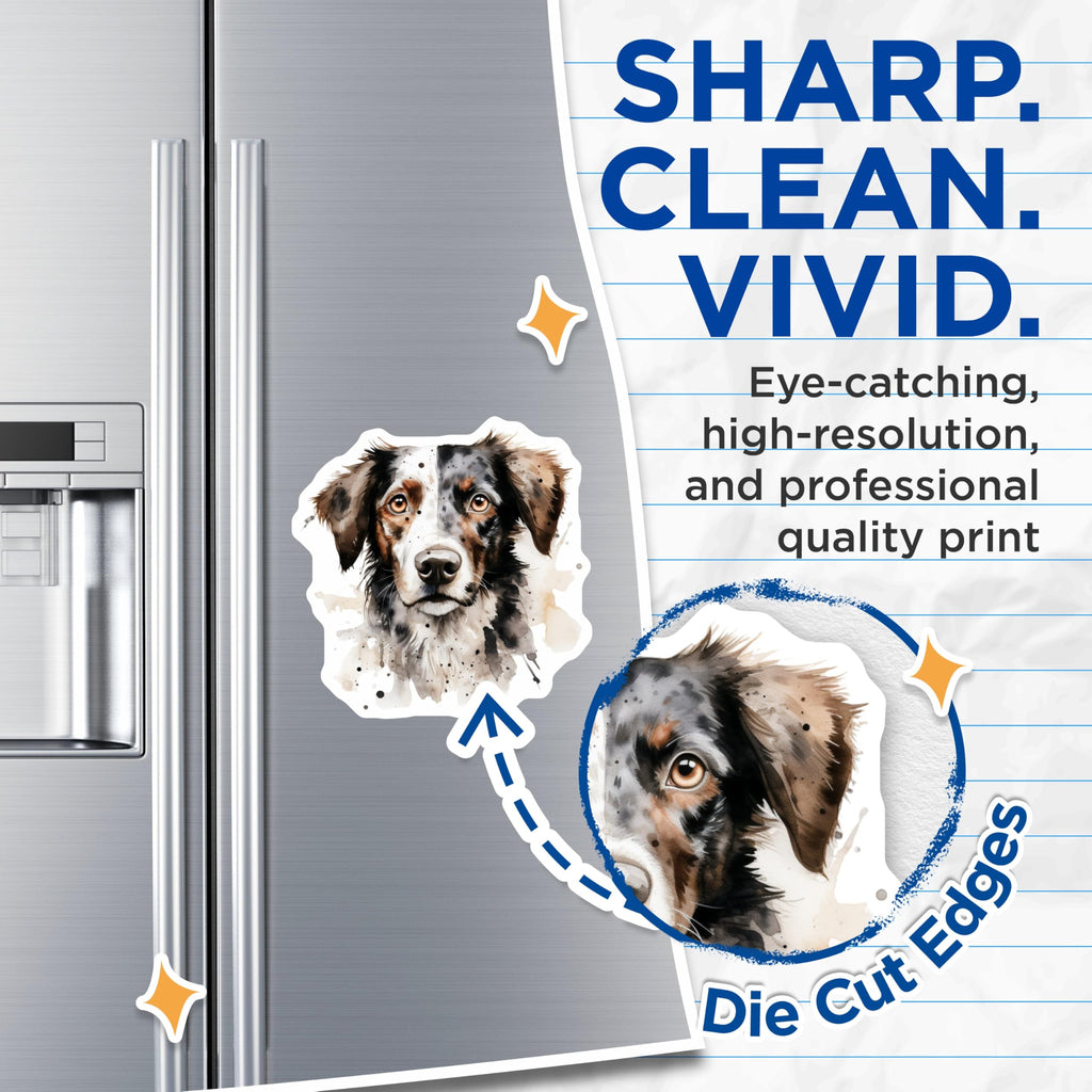 (2 Pack) Australian Shepherd Magnets - Watercolor Dog Art - Merle Collie Lover Decor - 5 Inches On Longest Side - Thick Durable Magnet - Made in USA - MAG26537