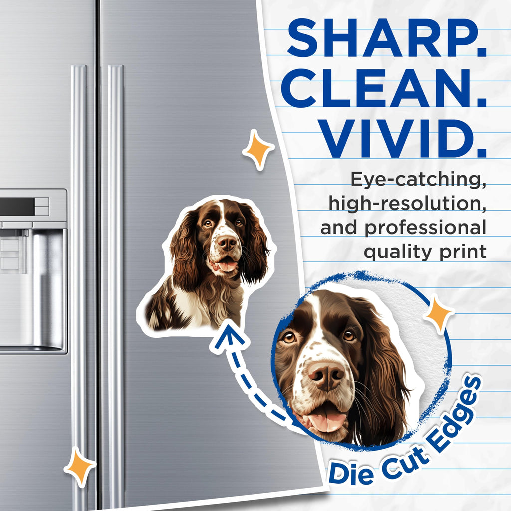 (2 Pack) Springer Spaniel Magnets - English Springer Dog Breed - Dog Mom Dad Accessory - Pet Animal Art - Refrigerator Decor - 5 Inches On Longest Side - Thick Durable Magnet - Made in USA - MAG27857