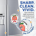 (2 Pack) Anxiety is Chronic Magnets - Funny Peach - Humor Kitchen - Positive Affirmation Quotes Magnets - 5" On Longest Side - for Cars, Fridges, Toolboxes - Made in USA - MAG4396