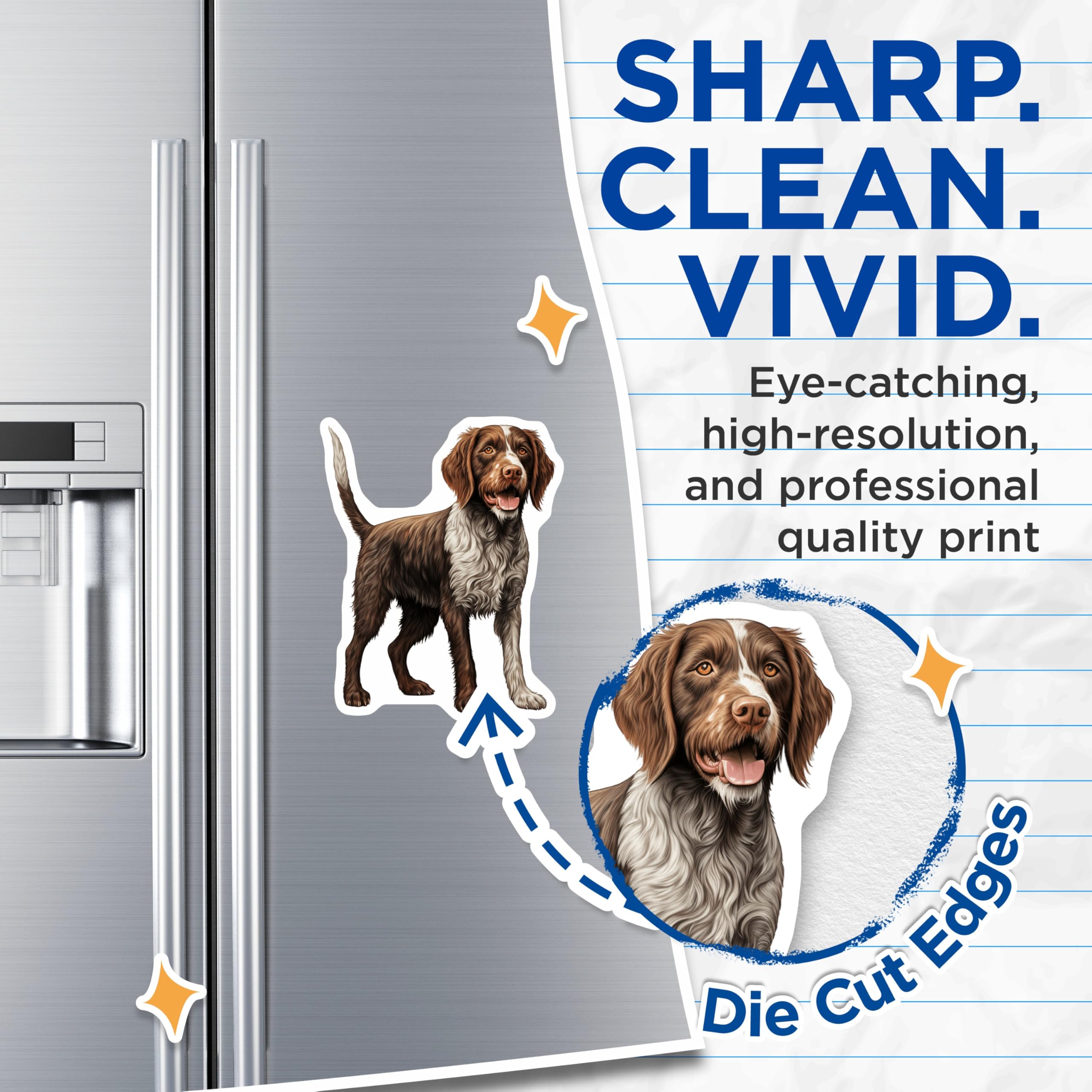 (2 Pack) German Shorthaired Pointer Magnets - GSP Dog Owner Accents - Realistic Pet Portrait - 5 Inches On Longest Side - Thick Durable Magnet - Made in USA - MAG25700