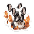 (2 Pack) French Bulldog Magnets - Autumn Dog Decor - Fall Puppy Art - Pet Lover Accessories - Animal Fridge Magnet - 5 Inches On Longest Side - Thick Durable Magnet - Made in USA - MAG30223
